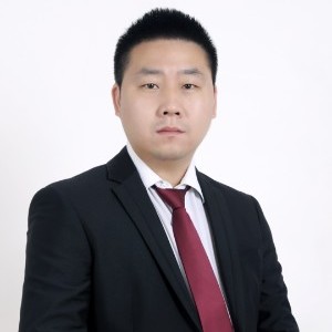 劉雙平 技術咨詢領域的卓越引領者